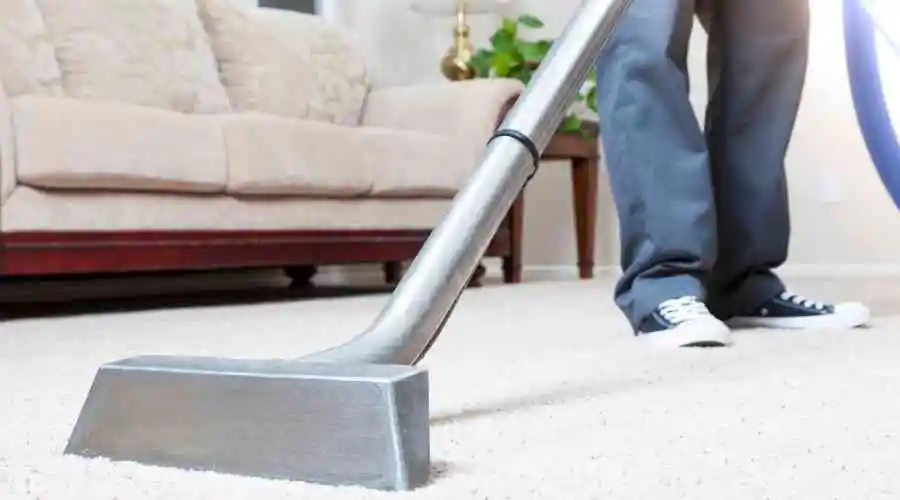 What is in Our Dirty Carpets?